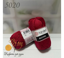 Begonia 5020